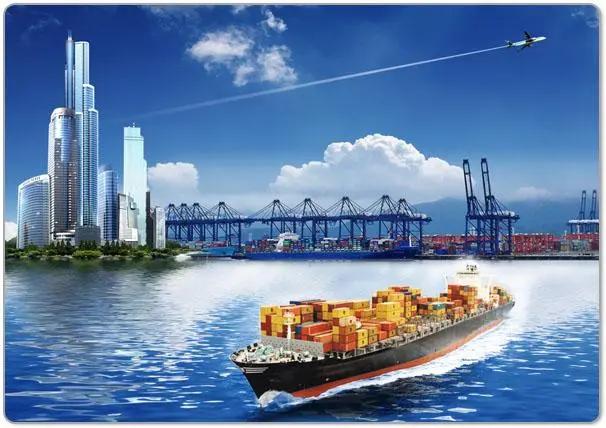 Shanghai Port export food commodity inspection customs clearance processing company